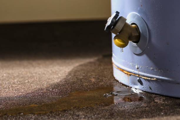 Best Flood restoration services  in Bloomingdale, NJ