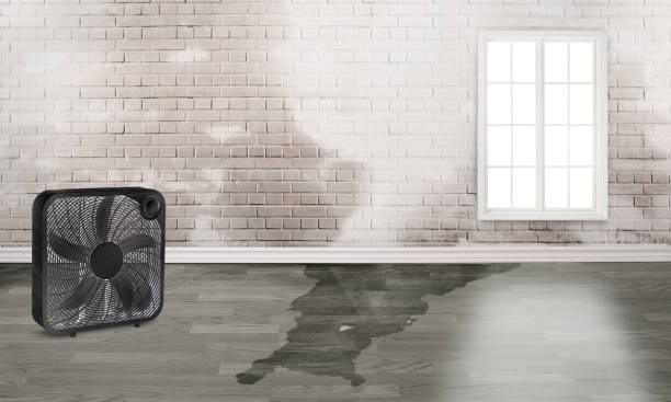 Best Professional water damage repair  in Bloomingdale, NJ