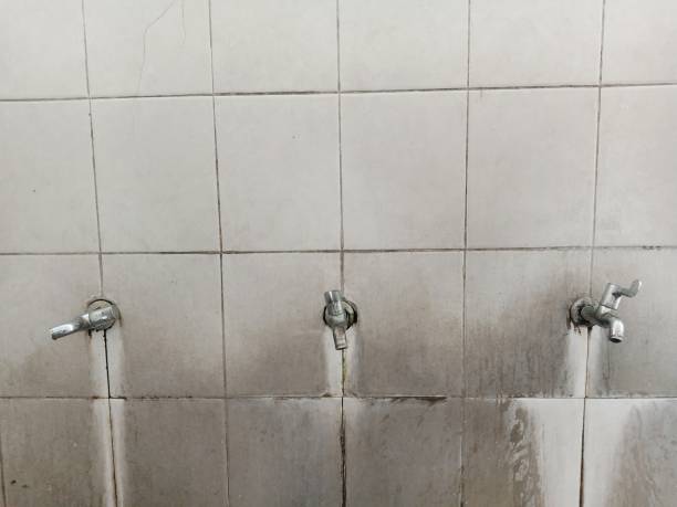 Best Mold removal after water damage  in Bloomingdale, NJ
