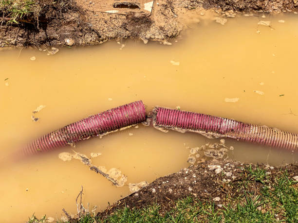 Water damage restoration insurance claims in Bloomingdale, NJ