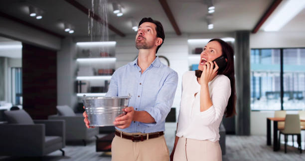 Best Water damage contractors near me  in Bloomingdale, NJ